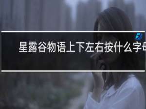 星露谷物语上下左右按什么字母