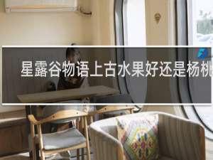 星露谷物语上古水果好还是杨桃好