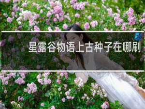 星露谷物语上古种子在哪刷