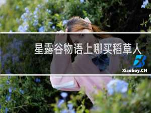 星露谷物语上哪买稻草人