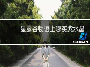 星露谷物语上哪买紫水晶