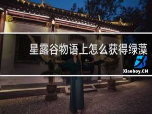 星露谷物语上怎么获得绿藻