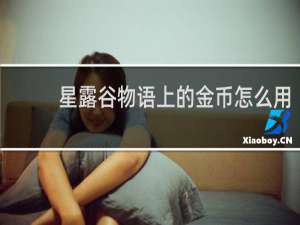 星露谷物语上的金币怎么用