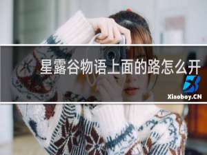 星露谷物语上面的路怎么开