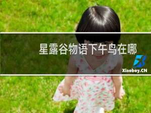 星露谷物语下午鸟在哪