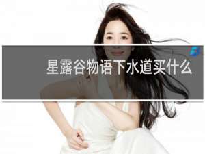 星露谷物语下水道买什么