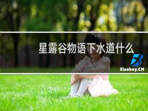 星露谷物语下水道什么