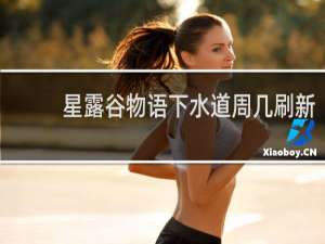 星露谷物语下水道周几刷新