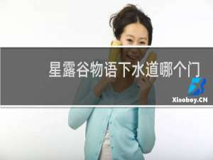 星露谷物语下水道哪个门