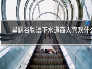 星露谷物语下水道商人喜欢什么