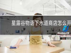 星露谷物语下水道商店怎么开