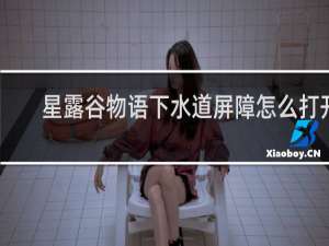 星露谷物语下水道屏障怎么打开
