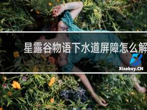 星露谷物语下水道屏障怎么解