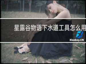 星露谷物语下水道工具怎么用