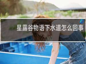 星露谷物语下水道怎么回事
