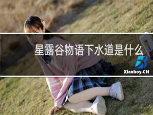 星露谷物语下水道是什么