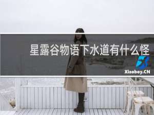 星露谷物语下水道有什么怪