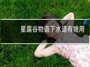 星露谷物语下水道有啥用