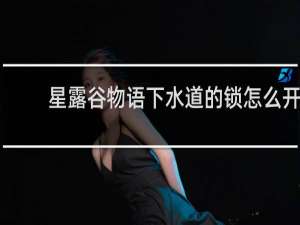 星露谷物语下水道的锁怎么开