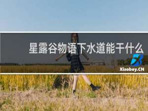 星露谷物语下水道能干什么