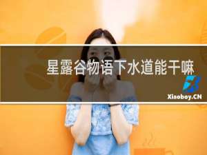 星露谷物语下水道能干嘛