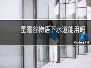 星露谷物语下水道能用吗