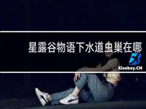 星露谷物语下水道虫巢在哪