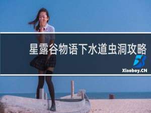 星露谷物语下水道虫洞攻略