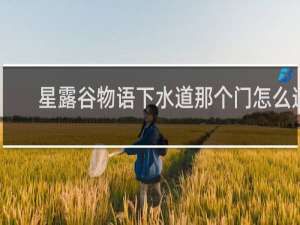 星露谷物语下水道那个门怎么进