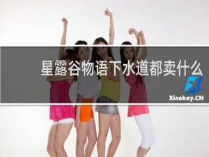 星露谷物语下水道都卖什么