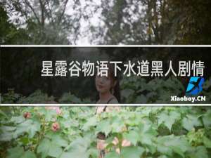 星露谷物语下水道黑人剧情