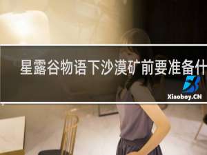 星露谷物语下沙漠矿前要准备什么