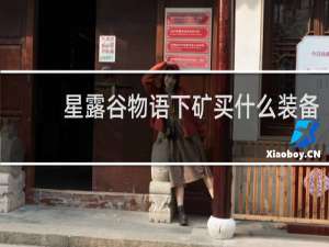 星露谷物语下矿买什么装备