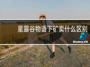 星露谷物语下矿卖什么区别
