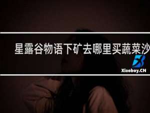 星露谷物语下矿去哪里买蔬菜沙拉