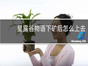 星露谷物语下矿后怎么上去