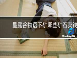 星露谷物语下矿哪些矿石卖钱