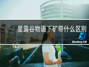 星露谷物语下矿带什么区别