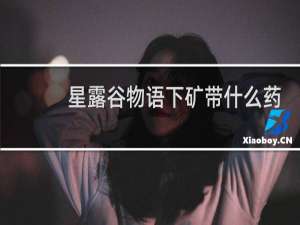 星露谷物语下矿带什么药