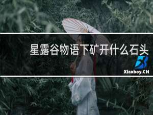 星露谷物语下矿开什么石头