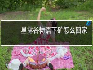 星露谷物语下矿怎么回家