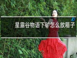 星露谷物语下矿怎么放箱子