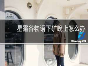 星露谷物语下矿晚上怎么办