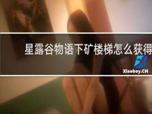 星露谷物语下矿楼梯怎么获得