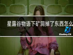 星露谷物语下矿洞掉了东西怎么办