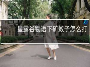星露谷物语下矿蚊子怎么打