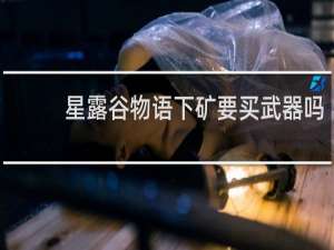 星露谷物语下矿要买武器吗