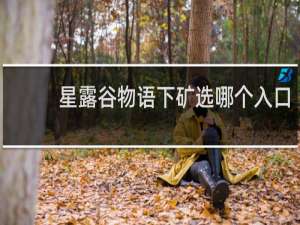 星露谷物语下矿选哪个入口
