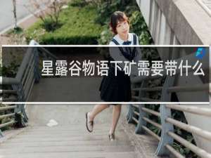 星露谷物语下矿需要带什么