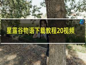 星露谷物语下载教程 视频